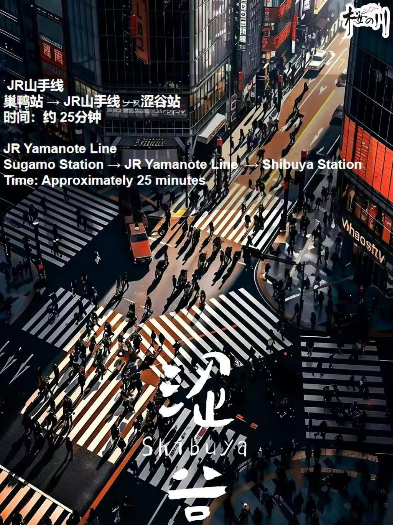 桜の川3 Sugamo Diamond Mansion 105 Direct To Ikebukuro Yamanote Line 5Mins Apartment Токио Екстериор снимка